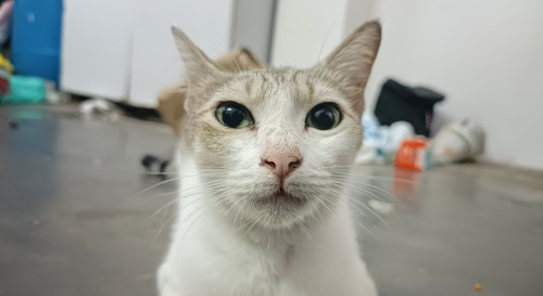 IMG 20231025 221437 01.jpg