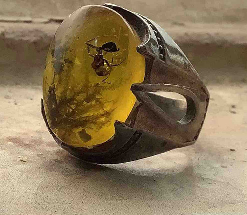 6F416C51 1C57 430C 9D8E DAEAD0B98736.jpg