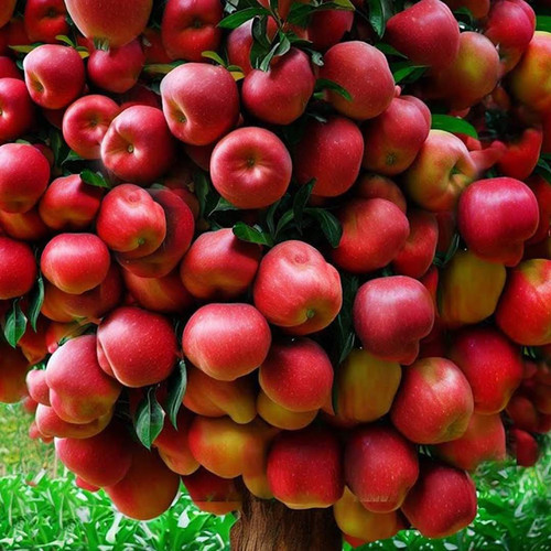 FB IMG 1698306019254.jpg