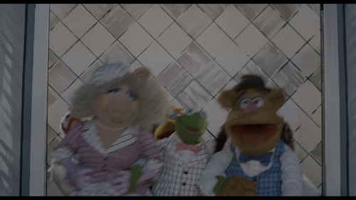 vlcsnap 2023 10 26 12h28m58s038.png