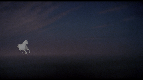 vlcsnap 2023 10 26 12h28m50s183.png