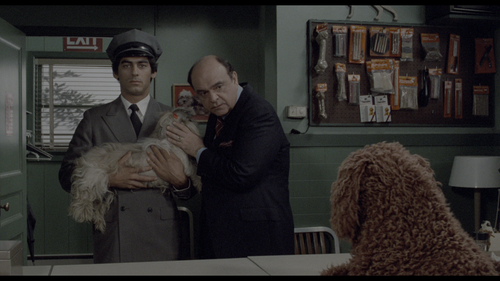 vlcsnap 2023 10 26 12h29m29s017.png