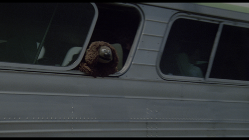 vlcsnap 2023 10 26 12h29m09s312.png