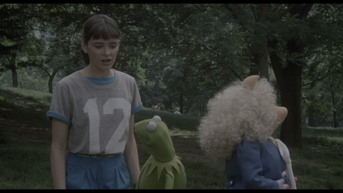 vlcsnap 2023 10 26 12h29m23s608.png