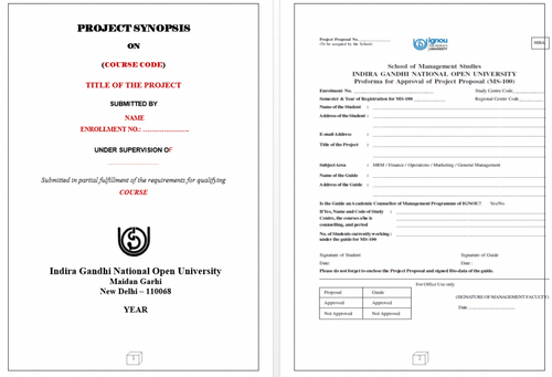 Ignou Project Report Sample.png