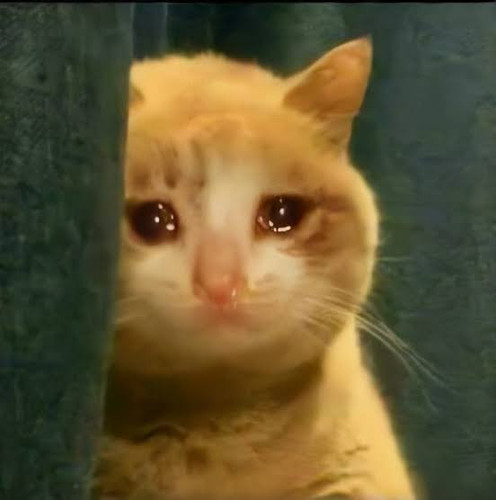 undefined.jpg