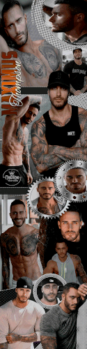 banner.gif