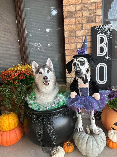 d0orhrew4uvb1 copy.jpg