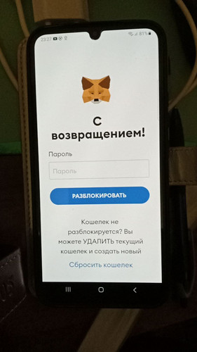 1698179309 1627678840.jpg