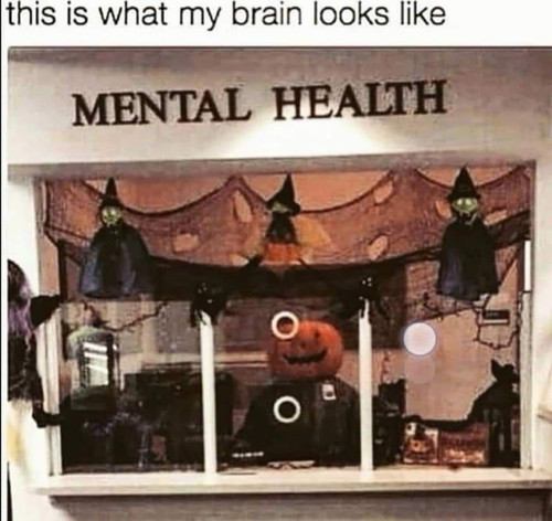 animal this is my brain looks like mental health.jpg