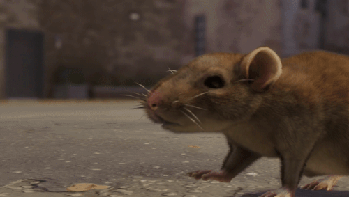 ezgif 5 2343f16016.gif