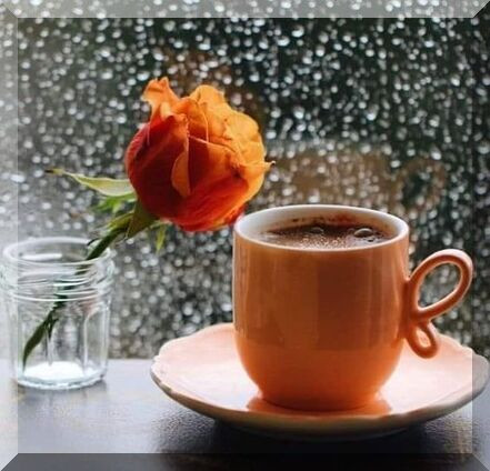 21172249o6oCsO8P (1).jpg