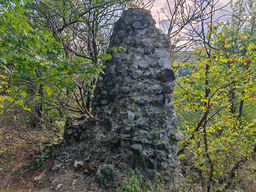 IMG 20231022 160723.jpg