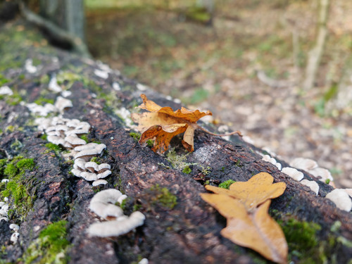 IMG 20231022 162436.jpg