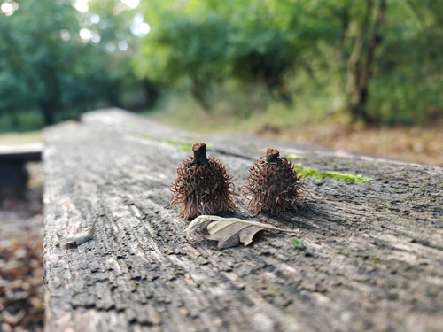 IMG 20231022 162534.jpg