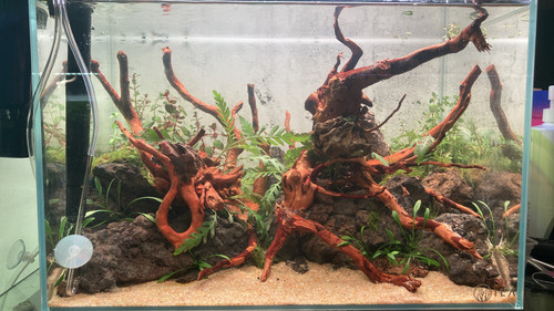 2B1CEEE0 F910 45A3 9854 2E227CD63051.jpg