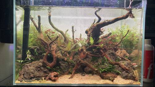 73CAB57A 13F1 4FA0 99D0 CB96BDCD409F.jpg