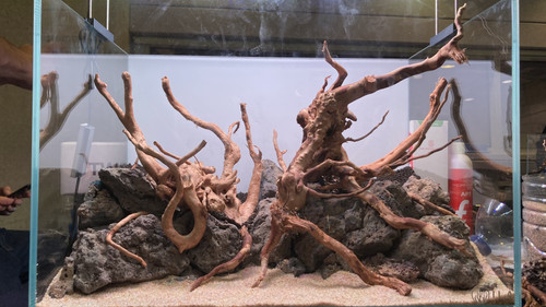 09C51C0B 7101 4F5B A175 53702E216DD0.jpg