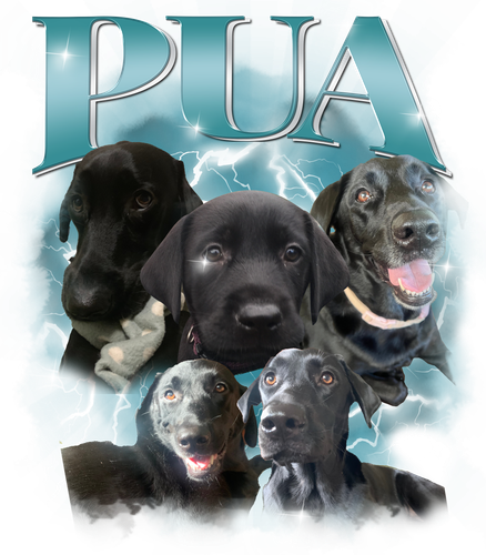 Pua.png
