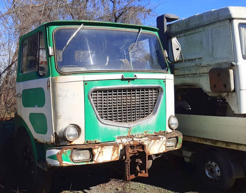 151697586 10222462346019377 5541653639785216513 n.jpg