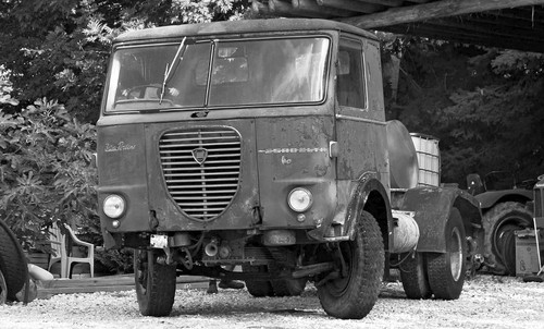 289195112 100735609358932 4778173123769468391 n.jpg