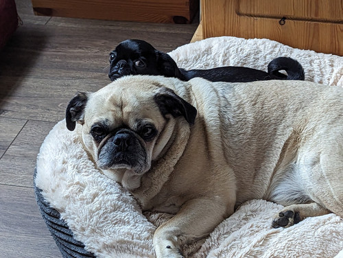 PXL 20231014 114121555.jpg