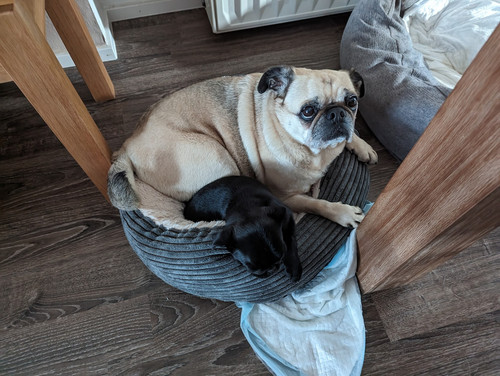 PXL 20231005 160130399.jpg