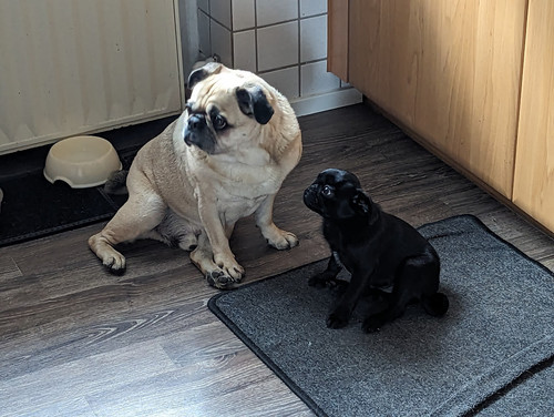 PXL 20231006 154746031.jpg