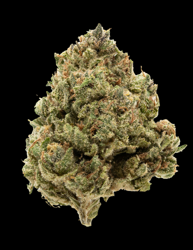 HQaHUPI PhotoRoom.png PhotoRoom.png