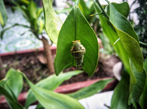 PXL 20231022 172148211 01.jpg