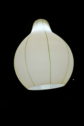 P1100287.jpg