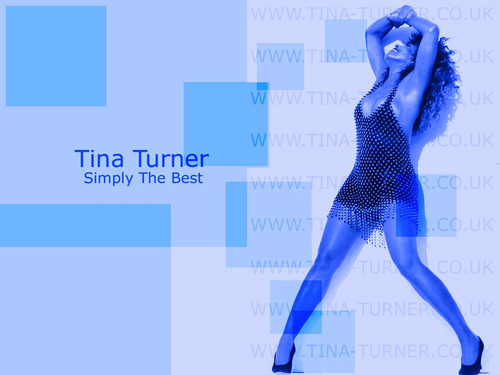 tina turner 3.jpg