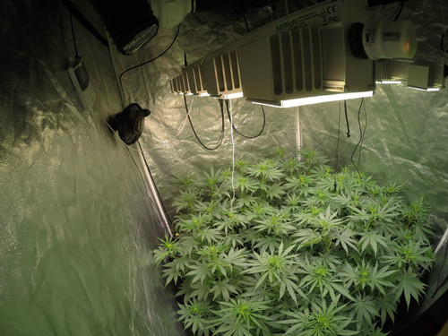 GOPR3132 1592834613871