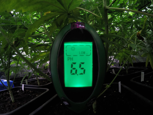 GOPR3124 1592834613871