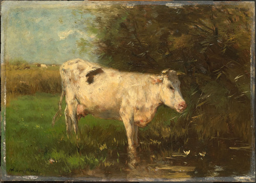 Maris, Willem Белая корова, 1910, 27 cm x 37 cm, Дерево, масло