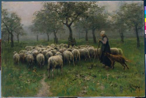 Mauve, Anton Пастушка со стадом овец, 1888, 54 cm х 82 cm, Холст, масло