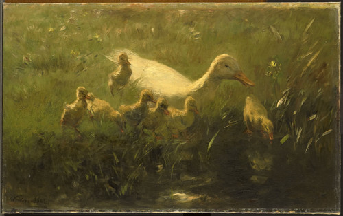 Maris, Willem Белая утка с птенцами, 1910, 55 cm x 88 cm, Холст, масло