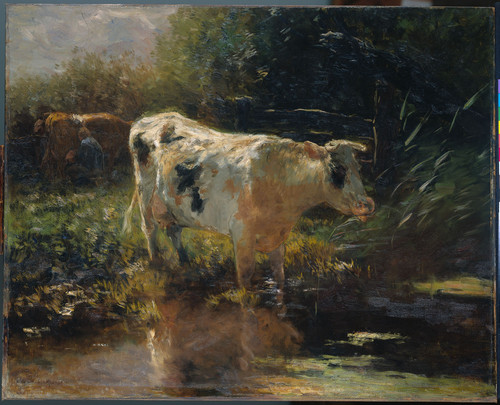 Maris, Willem Корова в канаве, 1910, 65 cm х 81 cm, Холст, масло