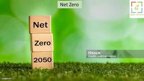 27.5.24nz.jpg