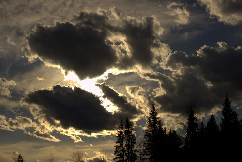 IMG 2163.jpg