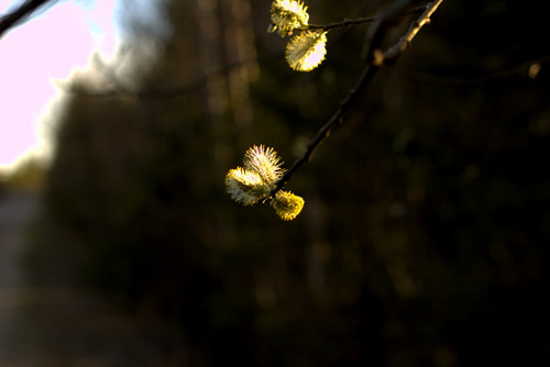 IMG 2169.jpg