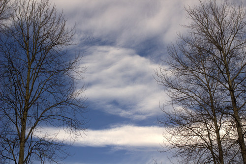 IMG 2166.jpg