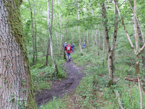 St Jean de Braye Parc Charbonniere 6