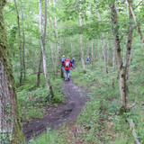 St Jean de Braye Parc Charbonniere 6