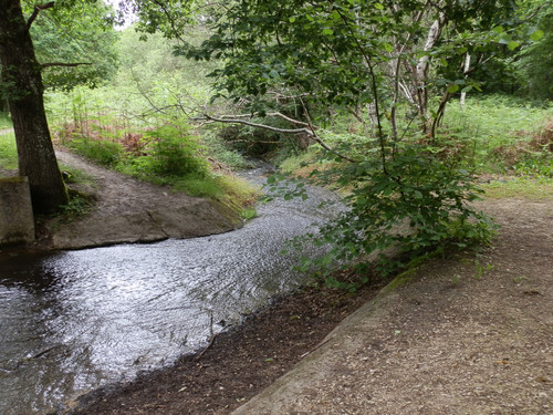 St Jean de Braye Parc Charbonniere 3