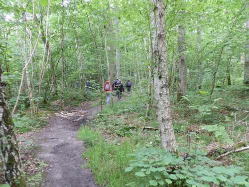 St Jean de Braye Parc Charbonniere 7