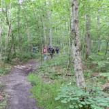 St Jean de Braye Parc Charbonniere 7