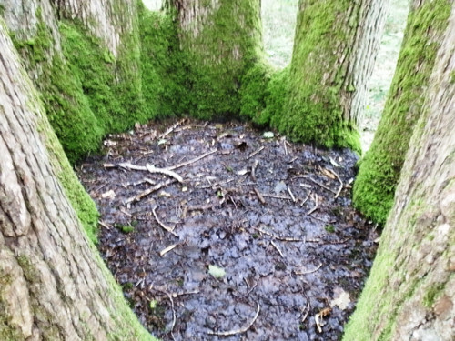 St Jean de Braye Parc Charbonniere 10