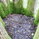 St Jean de Braye Parc Charbonniere 10