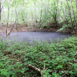 St Jean de Braye Parc Charbonniere 8